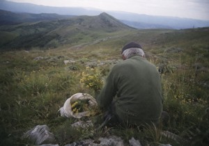 Deda Gvozden sa Rtnja / Ilustracija