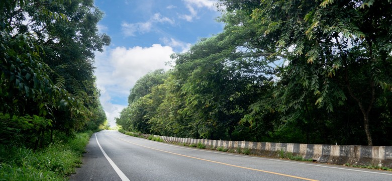 Tymi drogami daleko nie zajedziesz. Najkrótsze drogi krajowa i wojewódzka w Polsce