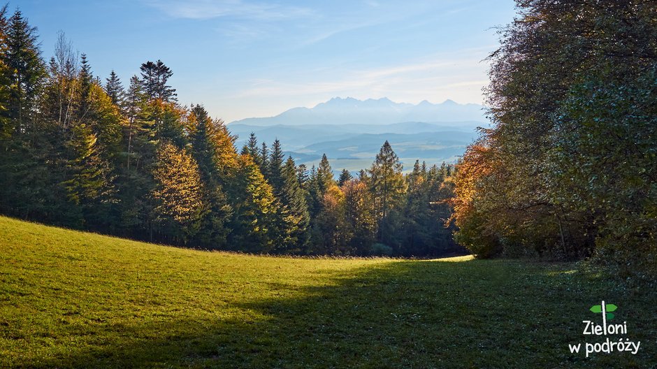 Tatry widziane z Przełęczy Szopka