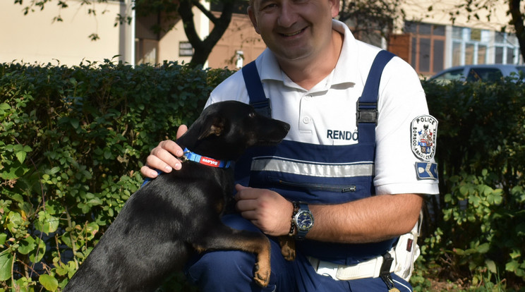 Csipesz a rendőrben talált rá új gazdájára /Fotó: police.hu