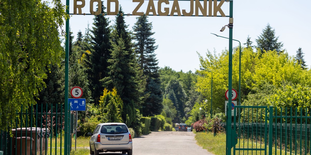 Lista zakazów dotycząca ogródków działkowych jest dość długa. Lepiej o nich pamiętać.