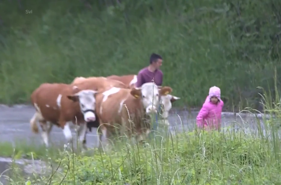 Tijana Babić, pastirica