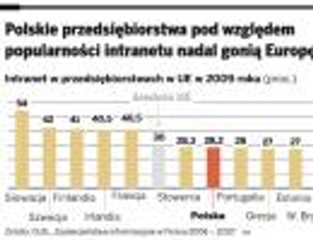 Polskie przedsiębiorstwa pod względem popularności Intranetu nadal gonią Europę