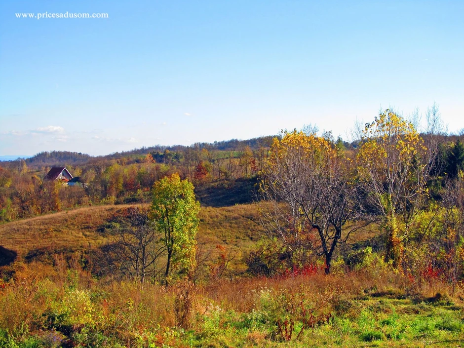 Selo Valjevska Kamenica, imanje Organela