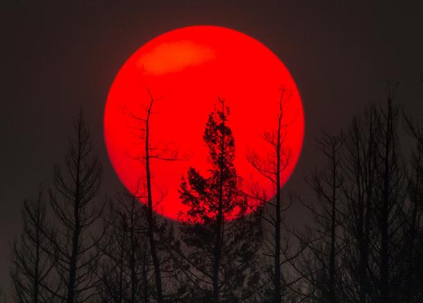 Canada Wildfires 2017: British Columbia