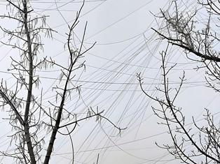 Wygląda jak sieć wielkiego pająka. Nowa taktyka Rosjan to problem dla Ukraińców