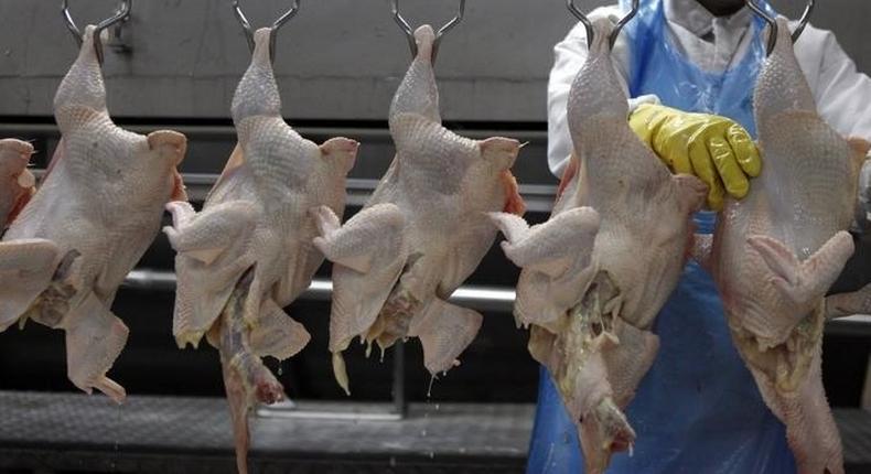 Slaughtered chickens hang from hooks at the Ceu Azul Alimentos slaughterhouse in Itatinga, 200km south of Sao Paulo, October 4, 2011.       REUTERS/Paulo Whitake