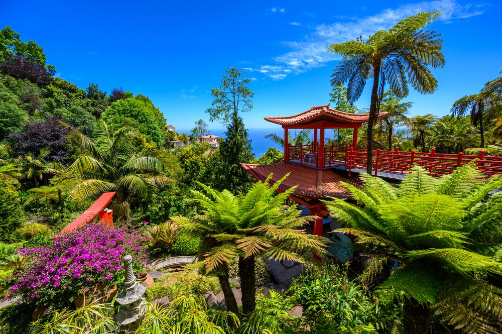 Tropické záhrady v meste Funchal, Madeira