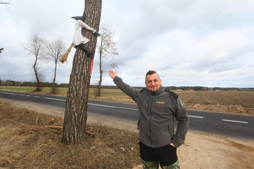 Co ta czarownica robi na drzewie?