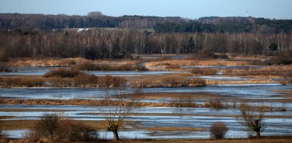 W tych regionach wciąż niebezpiecznie. Obowiązują ostrzeżenia IMGW