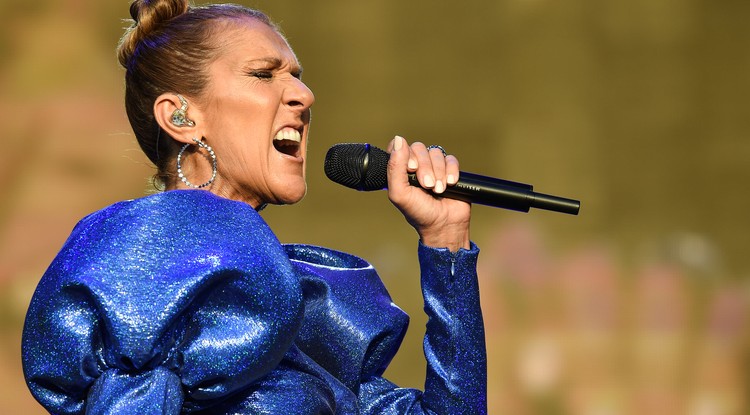 Céline Dion sok erőt merít a rajongók üzeneteiből Fotó: Getty Images