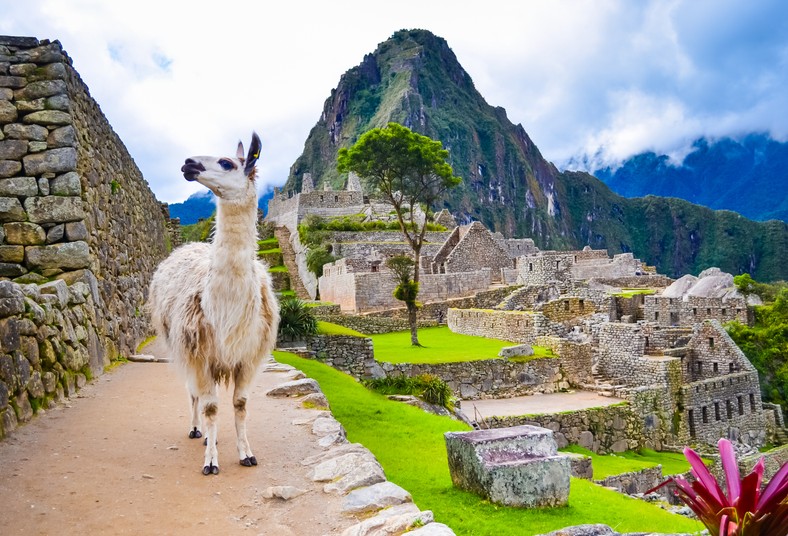 Machu Picchu