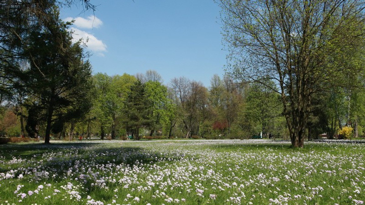 Resort skarbu chce do końca roku sprywatyzować uzdrowiska: Przerzeczyn, Szczawno-Jedlina, Świeradów, Kamień Pomorski, Horyniec, Iwonicz-Zdrój, Konstancin, Rabka i Wysowa - powiedział PAP wiceminister skarbu Adam Leszkiewicz.