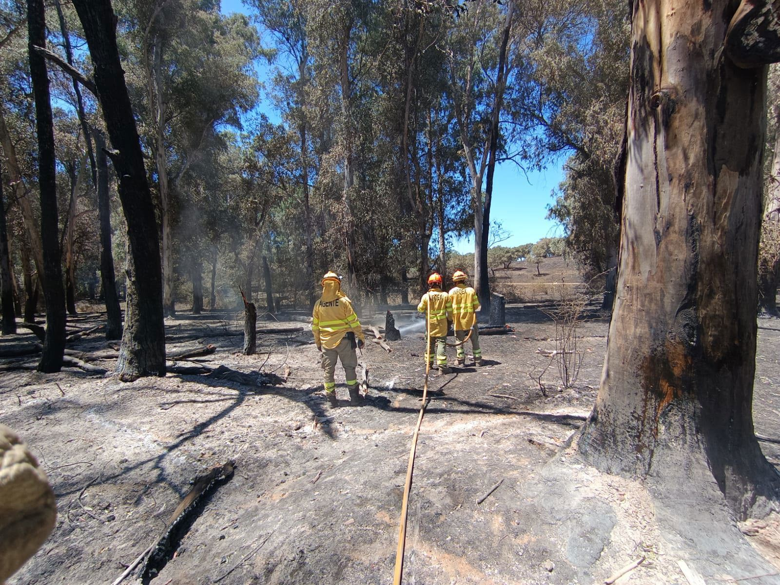 Incendio Valdecaballeros controlado tras quemar 2400 ha