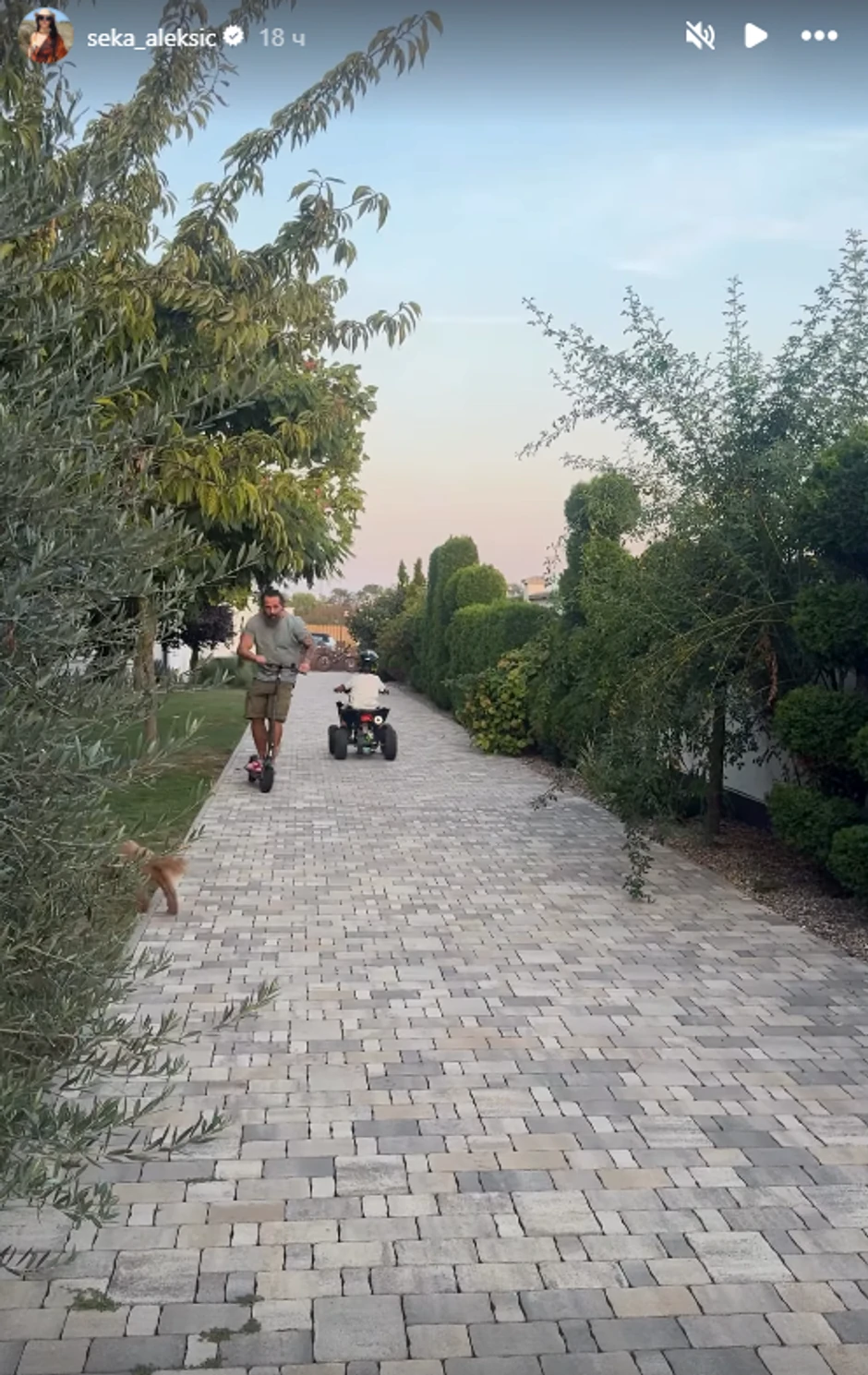 Seka Aleksić snimila dvorište i decu