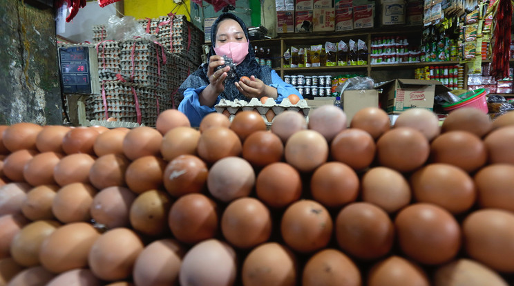 A tojástermelők a kedvezőtlen gazdasági környezet és az aszálykárok miatt kényszerültek áremelésre (illusztráció) / Fotó: MTI/EPA/Adi Weda