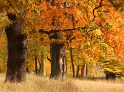 To już naprawdę koniec lata! Od piątku znowu jesień