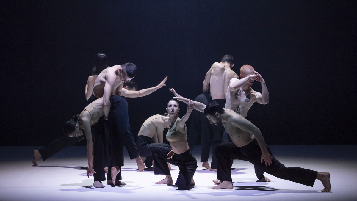 W czerwcu Sydney Dance Company wyruszy w europejską trasę obejmującą Austrię, Francję, Hiszpanię oraz po raz pierwszy Polskę ze spektaklem "AB [INTRA]" w choreografii uznanego przez krytyków Rafaela Bonachela. W Polsce spektakl odbędzie się 18 oraz 19 czerwca.