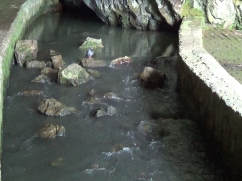 Zbog klimatskih promena, vrelo rečice u Petničkoj pećini prima znatno manje vode nego što je to bilo ranije