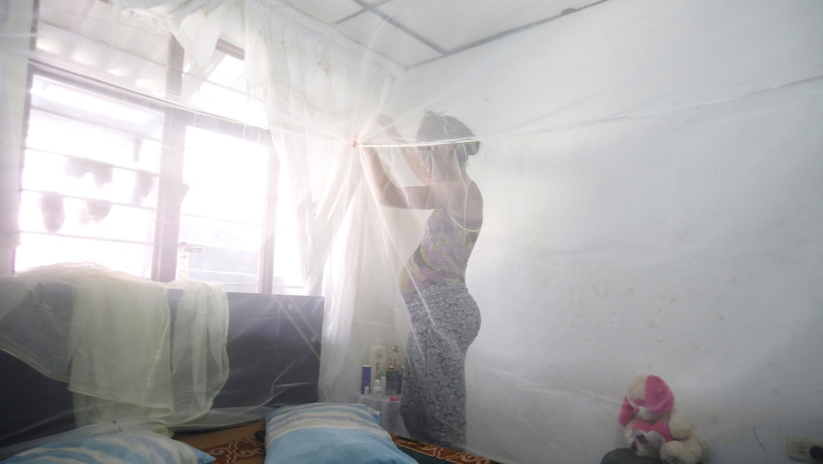 Maribel Gomez, 21, installs a mosquito net over her bed in Cali