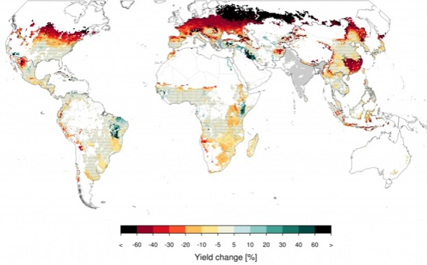 Jegermajerova grafika predstavlja prosečnu promenu u proizvodnji kukuruza u periodu od pet godina nakon nuklearnog sukoba između