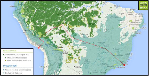 Jedna z planowanych tras przebiegu chińskiej linii kolejowej (Źródło: Global Forest Watch)