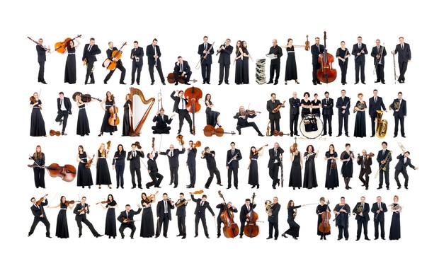Orkestar Srpskog narodnog pozorišta