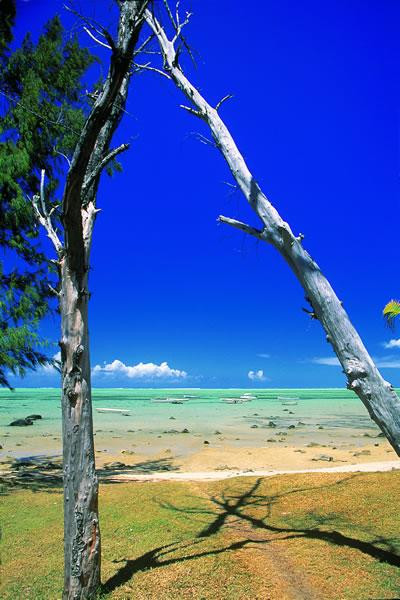 Galeria Mauritius - zaginiona kraina dodo, obrazek 32