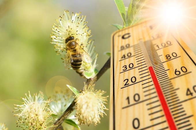 Orvosmeteorológia: intenzív tünetekre számíthatnak az allergiások