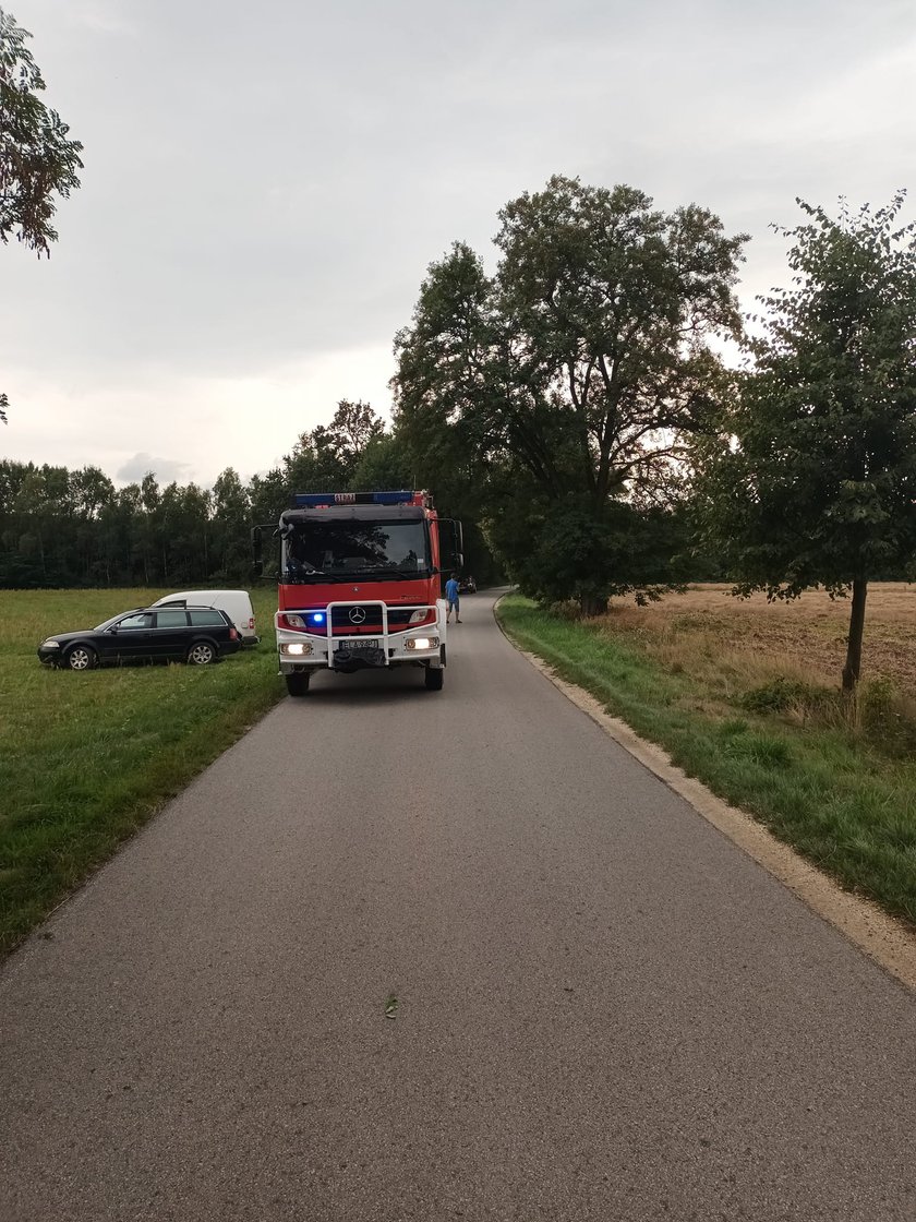 Niewyobrażalna tragedia w powiecie łaskim! Motocyklista zmarł po zderzeniu z koniem