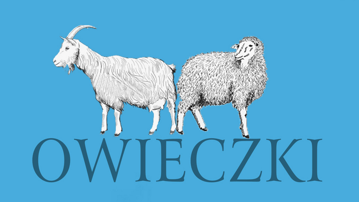 Niedługo będzie miała miejsce premiera powieści Joanny Cannon "Owieczki dobre, owieczki złe". "Najgorętszy debiut sezonu szturmem zdobywa listy bestsellerów" — pisał o książce "The Times".