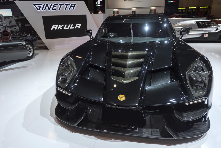 Ginetta Akula