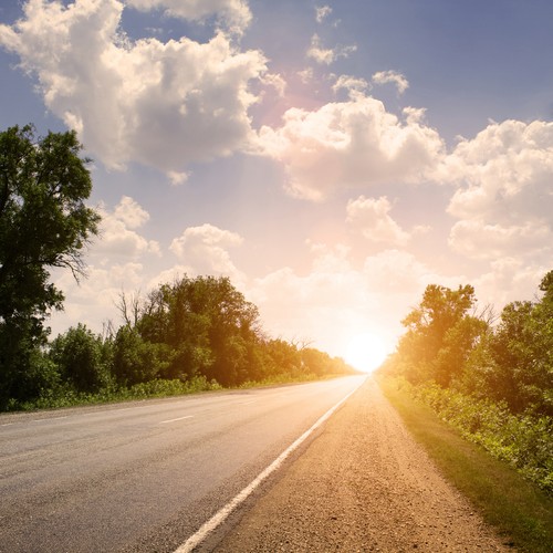 Zatrzymanie pojazdu <BR><BR>

Inspektorzy transportu drogowego mają prawo przeprowadzać kontrole w ruchu drogowym, a także wydawać polecenia i sygnały. Inspektorzy wykonują pracę w umuntudowaniu, posiadając niezbędne dokumenty, a także posiadając oznakowany pojazd służbowy. Zatrzymanie pojazdu następuje tarczą/lizakiem lub ręką, a jeżeli warunki na to nie pozwalają latarkąz czerwonym światłem lub tarczą odblaskową. Inspektor ma prawo wydawać polecenia za pomocą urządzeń nagłaśniajacych oraz sygnalizacji. 