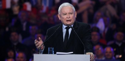 Nowe pomysły PiS. Nie pozostawiają na nich suchej nitki