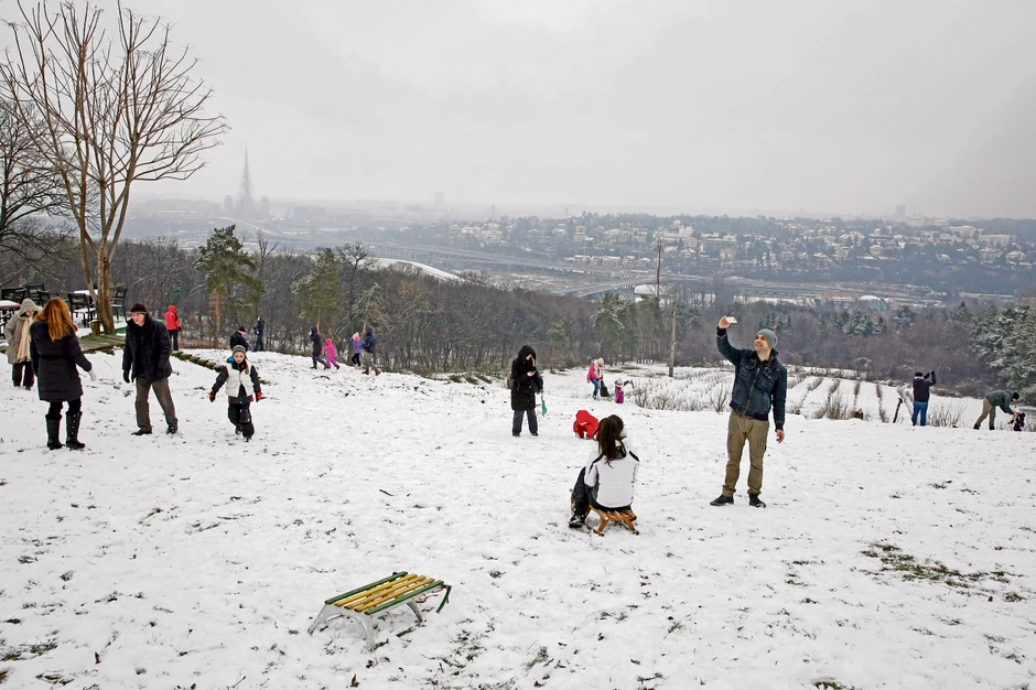 Sankanijada će se održati u subotu od 12 sati