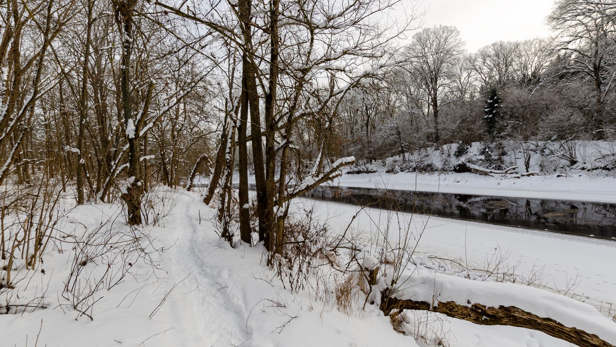 Będzie zimno, poprószy śnieg. Pogoda na czwartek