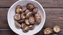 komputery z grzybów? bioelektronika, która może zmienić przyszłość tec