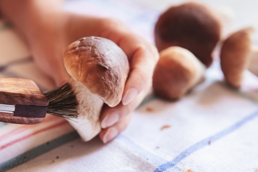 Grzyby należy spożyć zaraz po ich zebraniu. Potem mogą stać się toksyczne.