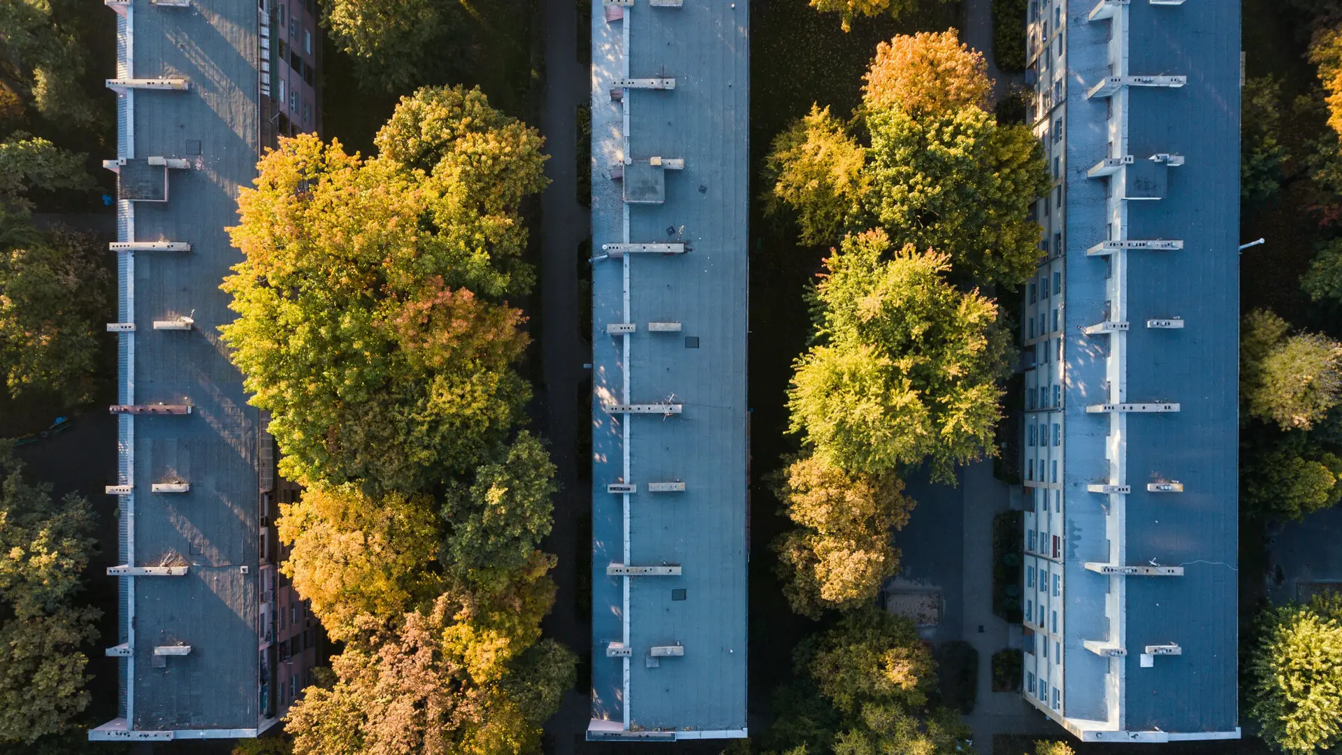 Will we be saved by the greenery? We have to do away with concrete in the cities, we will feel the difference in our lungs