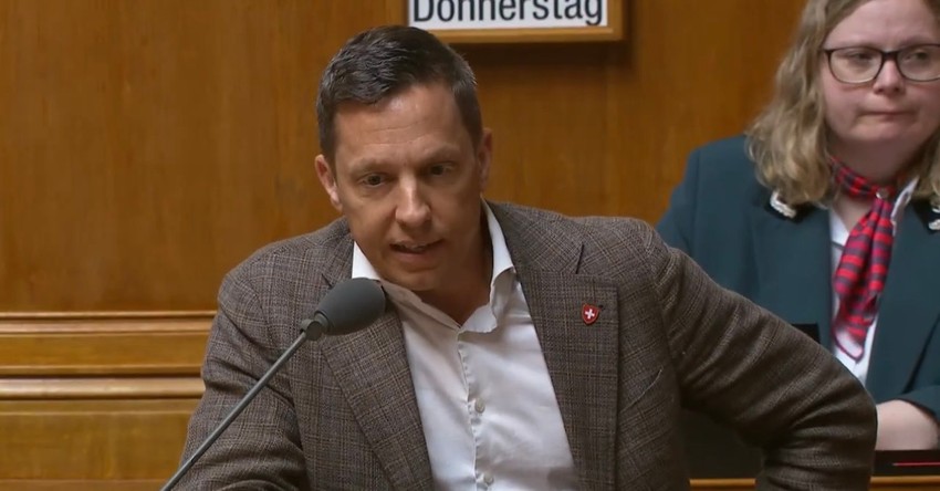 Rasprava o položaju Srba na KiM u švajcarskom parlamentu