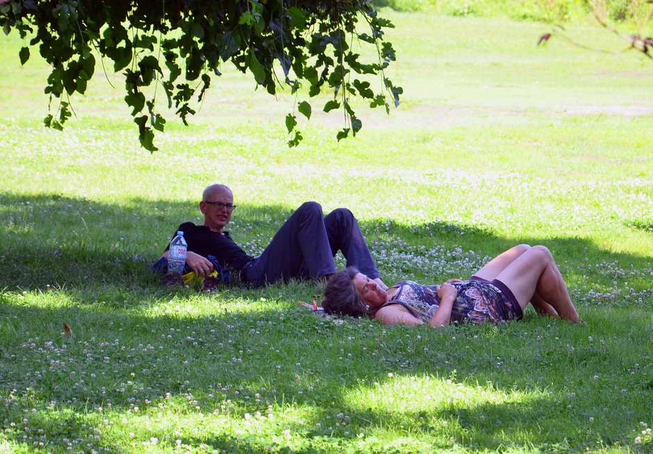 Lekari savetuju da se izbegava direktno izlaganje suncu, pa je hladovina u parkovima idealna za to
