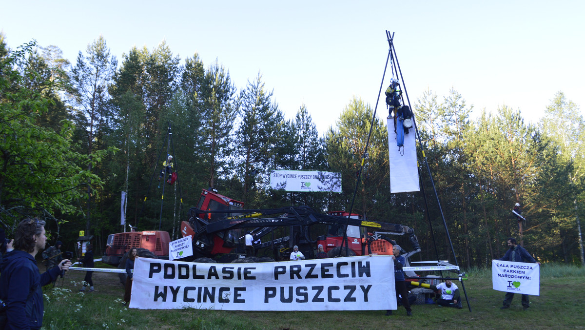 Dziesiąta blokada maszyn służących do wycinki lasu zorganizowana przez obrońców Puszczy Białowieskiej została przerwana. Powodem, jak podkreślili aktywiści była zbyt agresywna postawa Straży Leśnej.