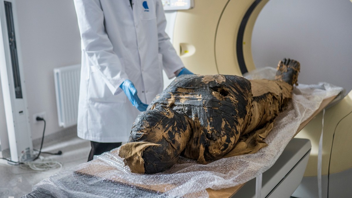 Długo sądzono, że pod zwojami bandaży mumii z Muzeum Narodowego w Warszawie kryje się kapłan Hor-Dżehuti, ale nowe analizy zweryfikowały ten pogląd. Okazało się, że to pierwsza rozpoznana na świecie egipska mumia ciężarnej kobiety – wynika z badań polskiego zespołu naukowców.