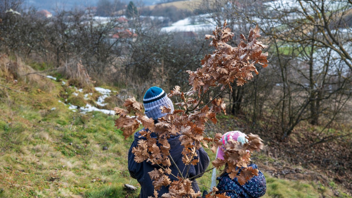 Evo šta treba uraditi sa badnjakom najon trećeg dana Božića