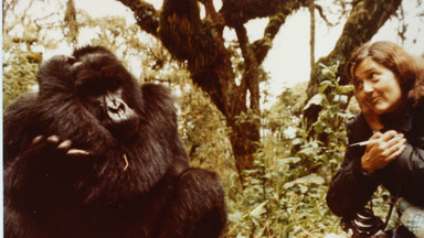 Goryle we mgle. Historia Dian Fossey