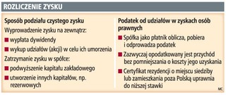 Podział zysku w spółce można optymalizować