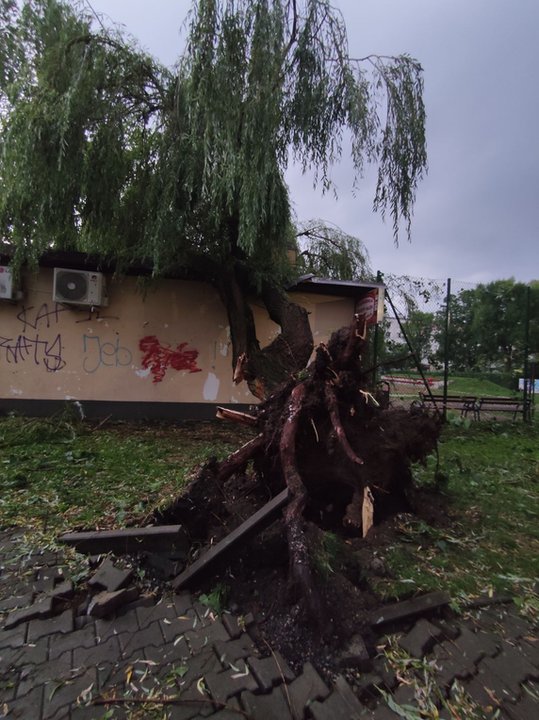 Nawałnica spustoszyła Osiedle Podwawelskie