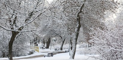 IMGW ostrzega. Zima nie odpuszcza, wiele województw musi przygotować się na trudne warunki