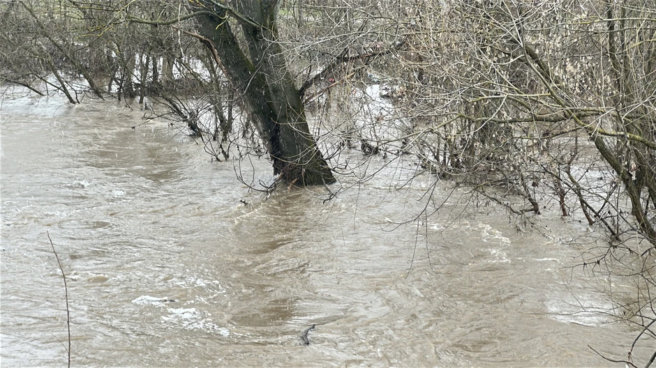 Preti izlivanje reke Čemernice