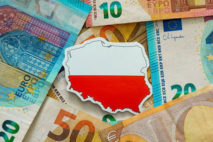 Wiceprezes NBP: Polska gospodarka wylądowała miękko